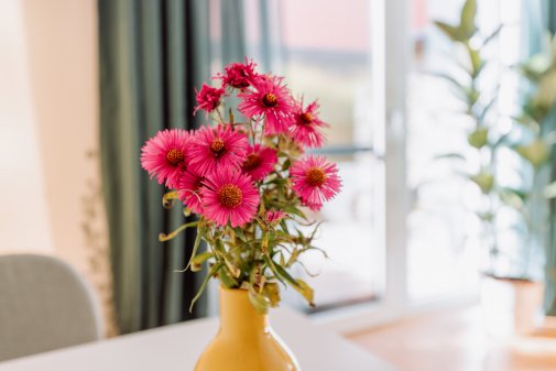 Daheim am regen - Ambulante Pflege -Blumen Daheim am regen - Ambulante Pflege -Blumen
